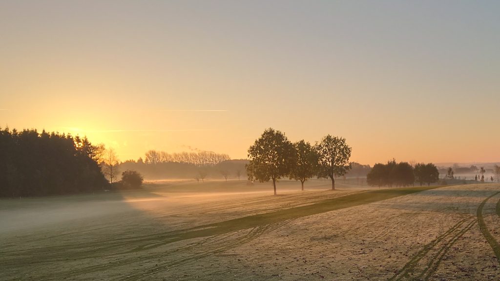 <p>Morgensol</p>