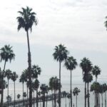 <p>San Clemente, Californien</p>
